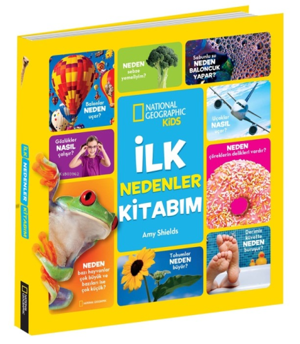 İlk Nedenler Kitabım