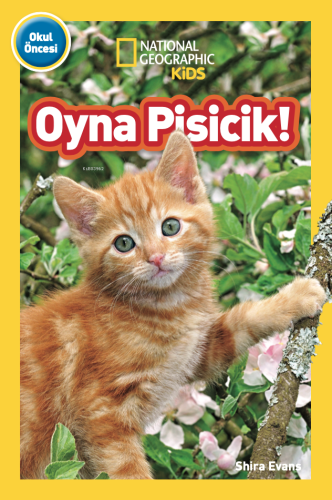 Oyna Pisicik - Kitapiks.com